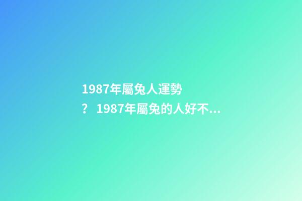 1987年屬兔人運勢？ 1987年屬兔的人好不好 1987年屬兔的人運勢好不好